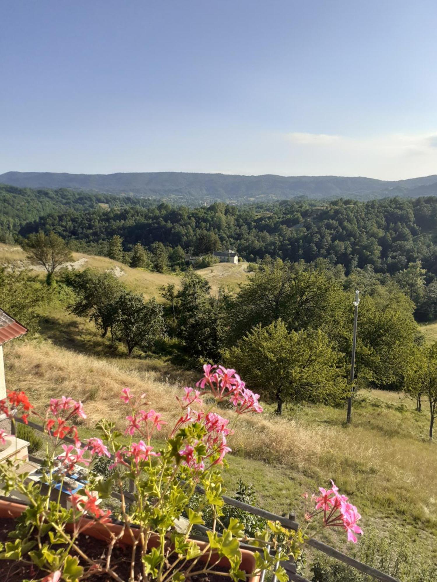 Cascina Merlo Country House Pareto Exterior foto